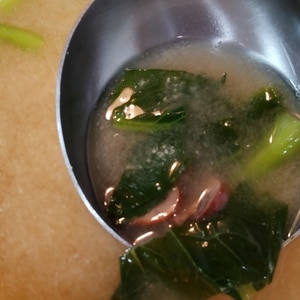 マッシュルーム&小松菜の味噌汁